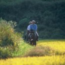 장계면(무주) 이미지