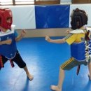 차돌체육관 이미지