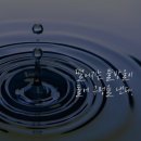 구미 인셀덤 보타랩