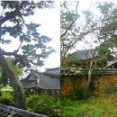 석탄정(石灘亭) | 조대서 풍월을 읊고 고창 석탄정(石灘亭)