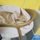 아지트, 멍 카페 이미지