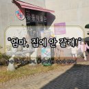 안경진정성 헤이리마을점 | 🦕 파주공룡박물관 실내체험 후기｜헤이리마을 가족나들이로 완전 추천!