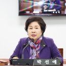 완월동129 이미지