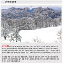 제. 268차 신년 강원도 선자령 눈꽃산행.및 강릉여행 이미지