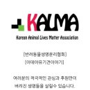 강돌이네집 네이버블로그