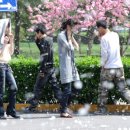 식물이야기 이미지