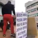 함평군청 한국일보
