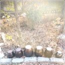 금전한식 이미지