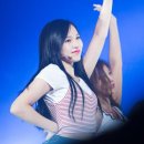 The Encore 이미지