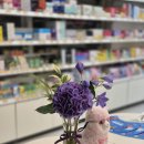 사랑이피는약국 이미지