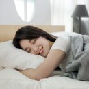 모든시트 이미지