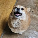 개어비앤비 이미지