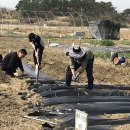 달성농장 이미지