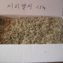 금하건어물 Daum카페
