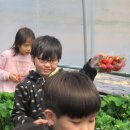 J.K 서교태권도 이미지