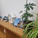 함께하는정신건강의학과의원 이미지