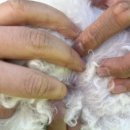 이을동물병원 이미지