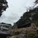 수아네