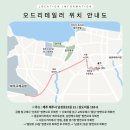 오드리 헤어 이미지