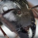 개미보육원 이미지