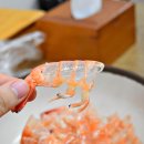 동막호 | 동막해수욕장 대하 맛집, 분오어판장 동막호 후기