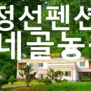 아리랑농원민박 | 정선 가네골 농원 후기, 펜션 민박 숙박 식당에서 밥심까지 든든하게 충전한 날