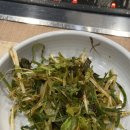 뚱보네 집 이미지