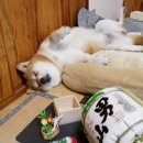 새문구방 이미지