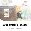 장수와 행복한 농부 | 장수풍뎅이사육세트 반려곤충키우기 자연마켓 ©ᴍᴏᴀsᴛᴏʀʏ