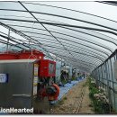 다해농장 이미지