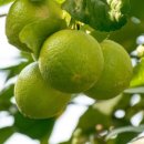 서울에이치과의원 이미지