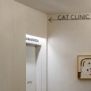 덕은하이동물병원 이미지