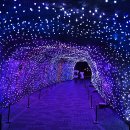 광명동굴 (코끼리차 주차장) 이미지