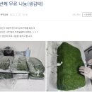 [원데이 특강] 수제간식(오란다) 만들기 | 산본 각종 답례품 전문 온떡공방 오란다 3종 후기 (반려동물 동반 픽업 O)