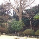 완도6호 이미지