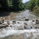 초심민박 이미지