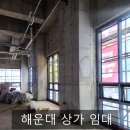 디엘마르 이미지