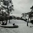 성안공 상진묘역 이미지