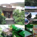 숲속의 쉼터 이미지