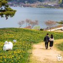 지리산호수리조트 이미지