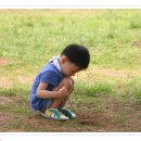 주성목장 이미지