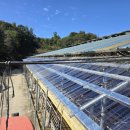 용인한우농장 이미지