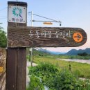 연둔리 숲정이 | [전남 화순 여행 | 화순 가볼만한곳] 화순 동복 둔동마을 연둔리 숲정이 [한국의 아름다운 숲]