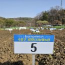 매호농장 이미지