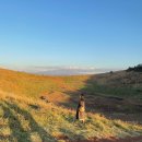 중부뜰목장 | 제주 서귀포여행:오는정김밥/남원큰엉해안경승지/동백수목원/금오름