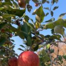 빛나는 휘트니스 이미지