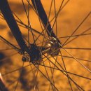 상아탑학원 이미지