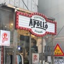 [압구정빈티지샵] 퀄리티 좋은 빈티지샵 “아폴로(APOLLO)” 방문후기