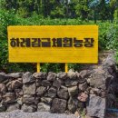 오주농장 이미지