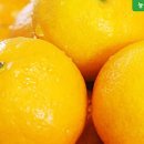 강화중앙시장(a동b동) 이미지